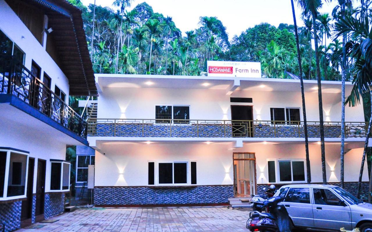 Hosamane Farm Inn Sringeri Exterior foto