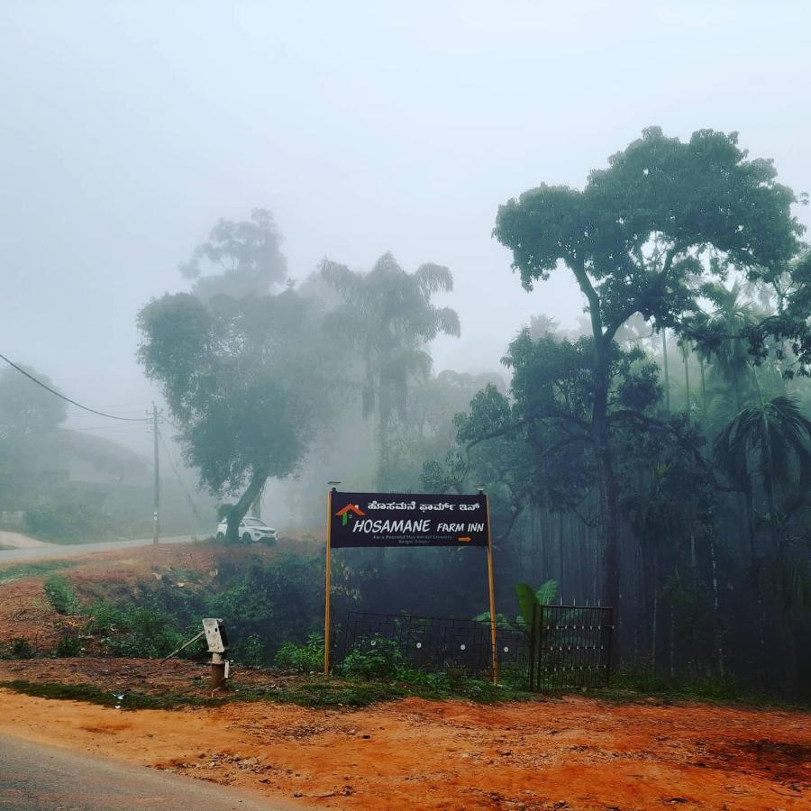 Hosamane Farm Inn Sringeri Exterior foto