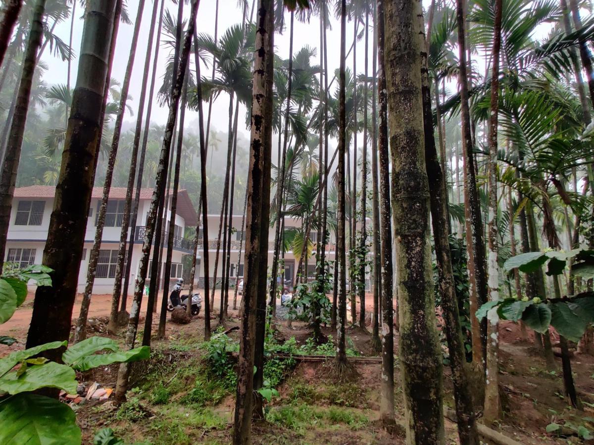 Hosamane Farm Inn Sringeri Exterior foto